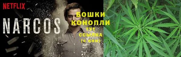 ГАЛЛЮЦИНОГЕННЫЕ ГРИБЫ Абинск